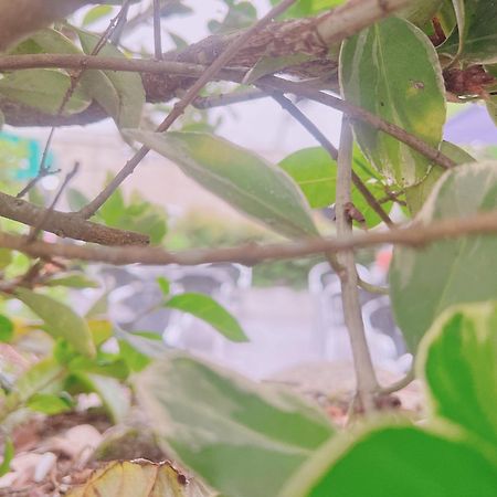 Hotel Marea Poio Kültér fotó